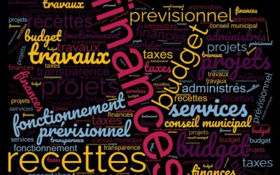 Rapport d’orientations budgétaires 2025 / conseil du 12/03/2025